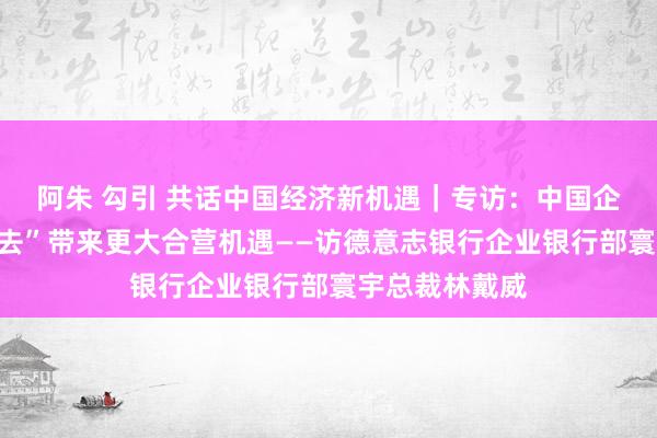 阿朱 勾引 共话中国经济新机遇｜专访：中国企业加速“走出去”带来更大合营机遇——访德意志银行企业银行部寰宇总裁林戴威