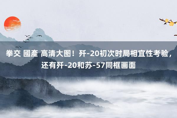 拳交 國產 高清大图！歼-20初次时局相宜性考验，还有歼-20和苏-57同框画面