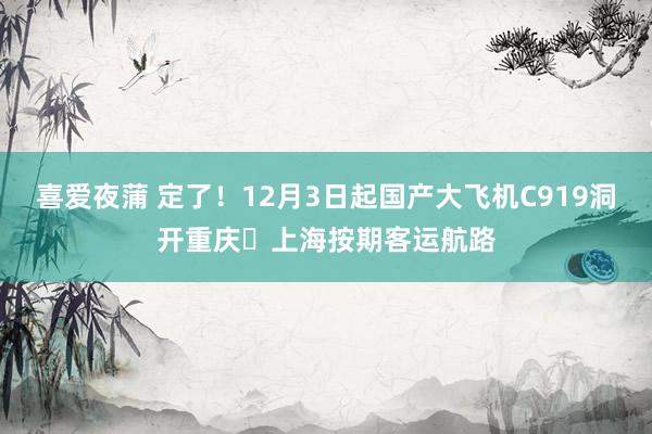 喜爱夜蒲 定了！12月3日起国产大飞机C919洞开重庆⇋上海按期客运航路