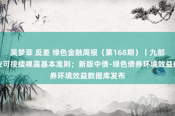 吴梦菲 反差 绿色金融周报（第168期）丨九部门发布企业可接续裸露基本准则；新版中债-绿色债券环境效益数据库发布