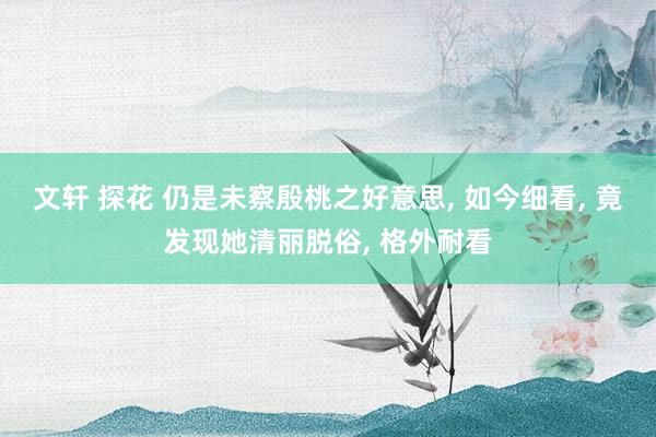 文轩 探花 仍是未察殷桃之好意思， 如今细看， 竟发现她清丽脱俗， 格外耐看