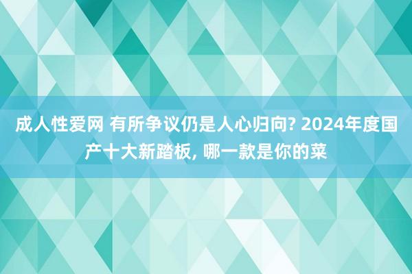 成人性爱网 有所争议仍是人心归向? 2024年度国产十大新踏板， 哪一款是你的菜