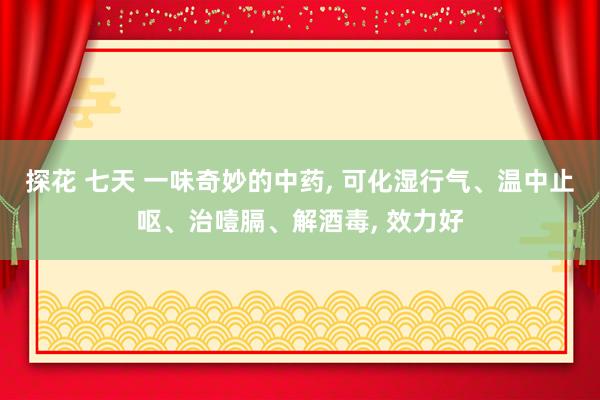 探花 七天 一味奇妙的中药， 可化湿行气、温中止呕、治噎膈、解酒毒， 效力好