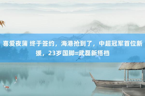 喜爱夜蒲 终于签约，海港抢到了，中超冠军首位新援，23岁国脚=武磊新搭档