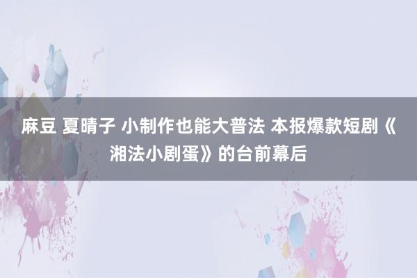 麻豆 夏晴子 小制作也能大普法 本报爆款短剧《湘法小剧蛋》的台前幕后