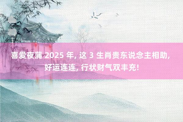 喜爱夜蒲 2025 年， 这 3 生肖贵东说念主相助， 好运连连， 行状财气双丰充!