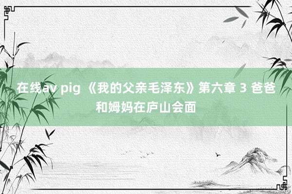 在线av pig 《我的父亲毛泽东》第六章 3 爸爸和姆妈在庐山会面