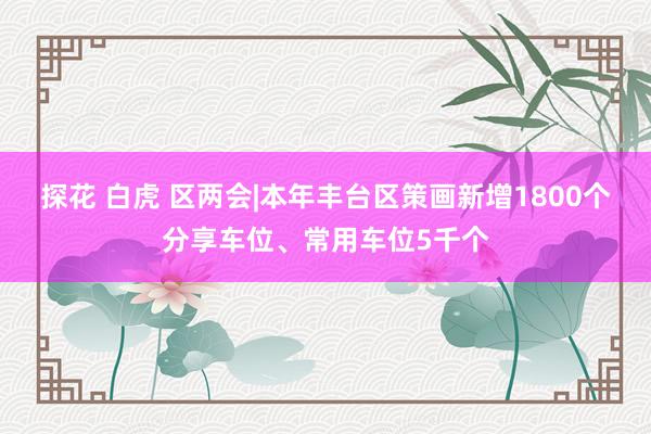 探花 白虎 区两会|本年丰台区策画新增1800个分享车位、常用车位5千个