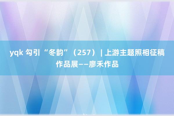 yqk 勾引 “冬韵”（257） | 上游主题照相征稿作品展——廖禾作品