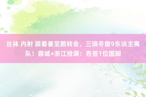 丝袜 内射 跟着姜至鹏转会，三镇冬窗9东谈主离队！蓉城+浙江捡漏：各签1位国脚