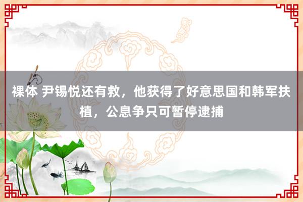 裸体 尹锡悦还有救，他获得了好意思国和韩军扶植，公息争只可暂停逮捕